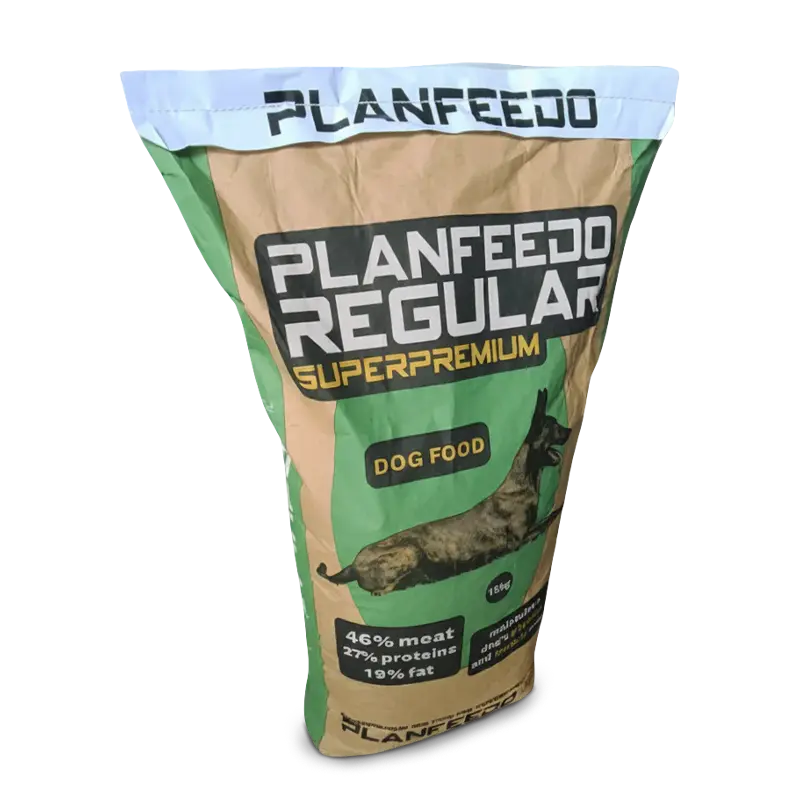 Planfeedo Regular